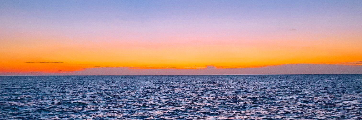 VlOLETCRAZY's profile banner image