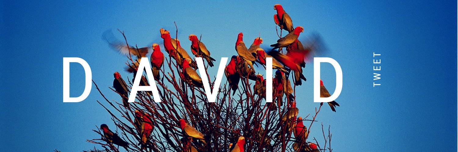 assumedavid's profile banner image