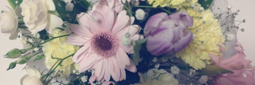 cherry__y's profile banner image