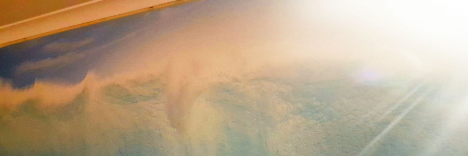 fair_dinkums's profile banner image