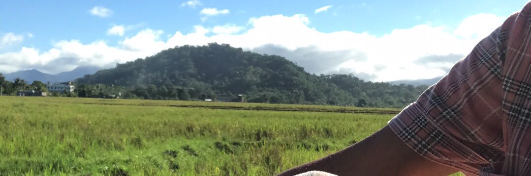shezburnin's profile banner image