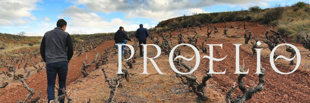 @BodegasProelio banner