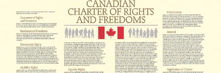 🇨🇦MR. Michael banner