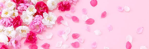 y9522_rt's profile banner image