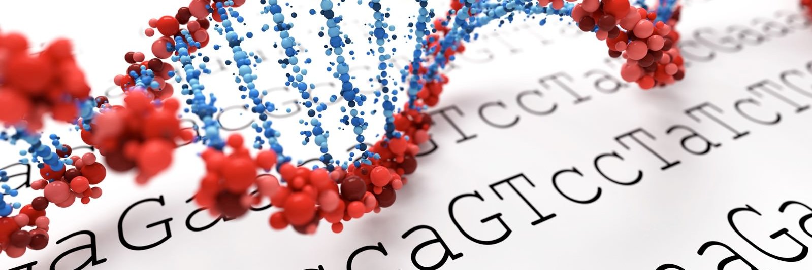 Rhys White 🧬 banner