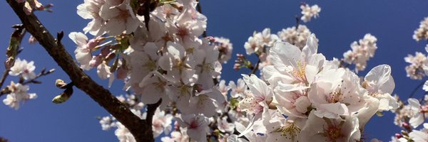 A_Smd11 Profile Banner