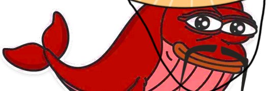 RedWhaleCoin's profile banner image
