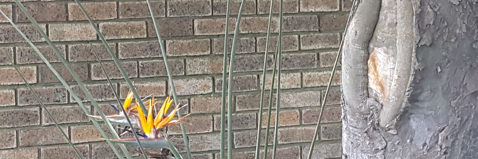 mrwilliezee's profile banner image