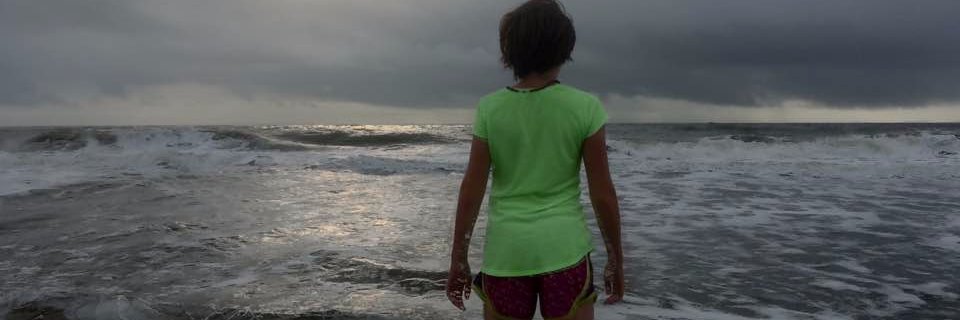 Mark LaFountain banner