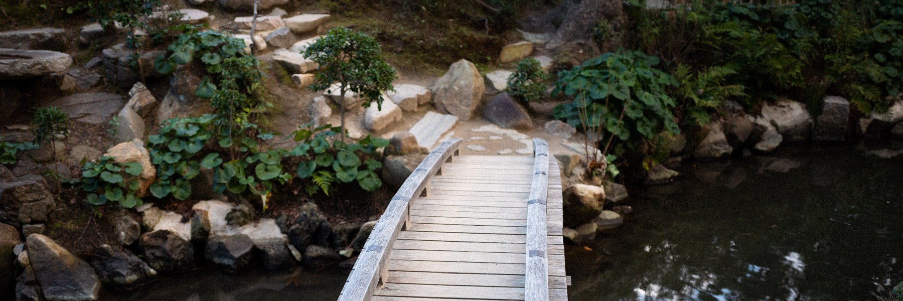 Ross Zurowski banner