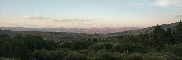 GrillChief02 Profile Banner