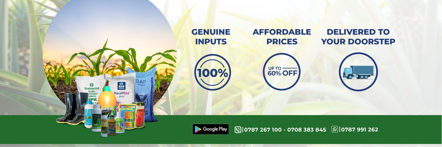 EzyAgric banner