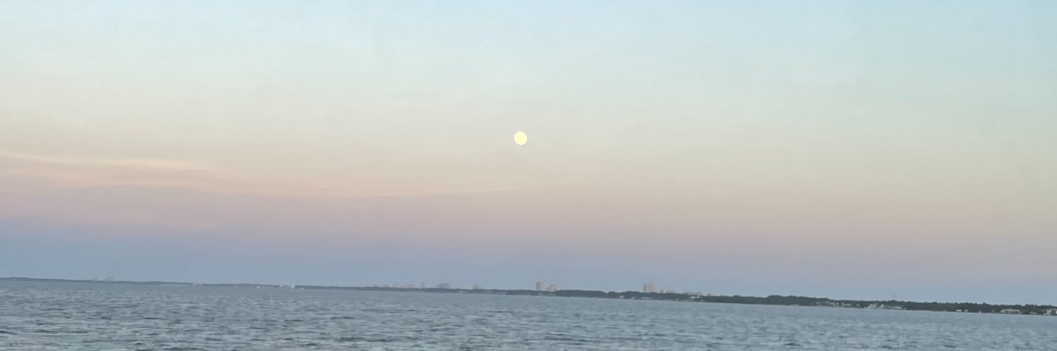 _mandyf_'s profile banner image