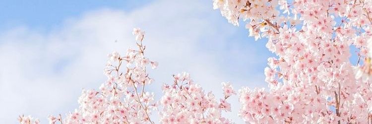 aaaannnne_'s profile banner image