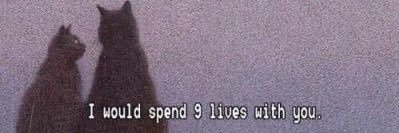 slllybltch's profile banner image