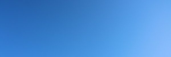 VoteYesForMLD Profile Banner
