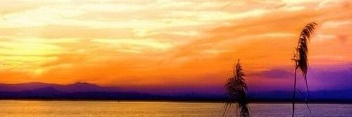 _Protruthseeker's profile banner image