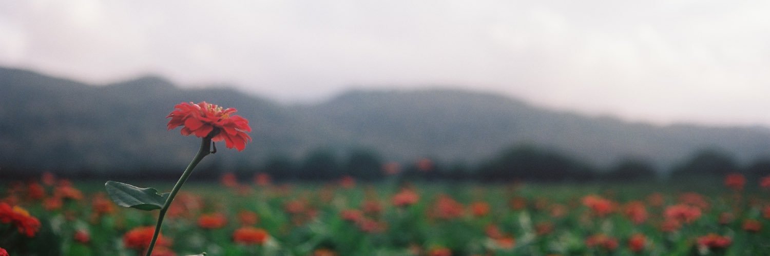 มองอ 💤 banner