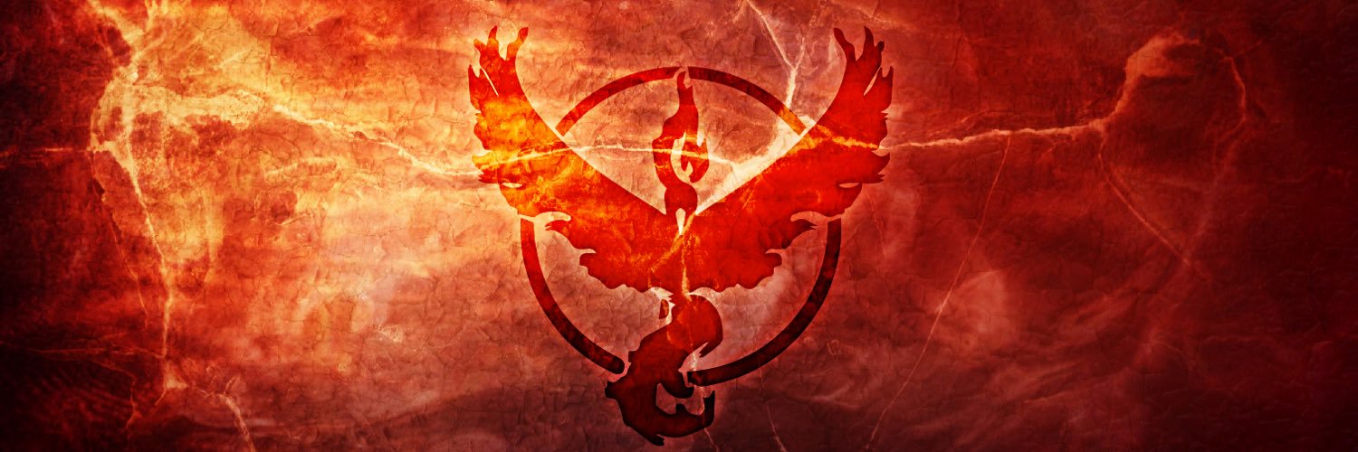 Team Valor Ottawa banner