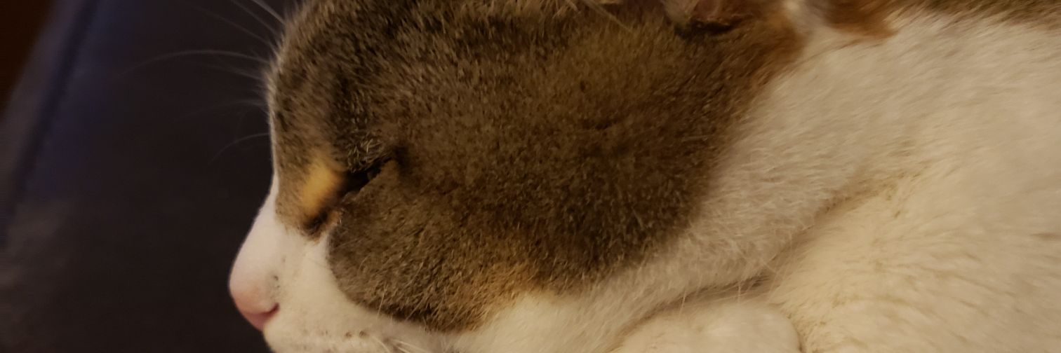 gina2me's profile banner image