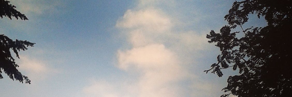 i4dramatics's profile banner image