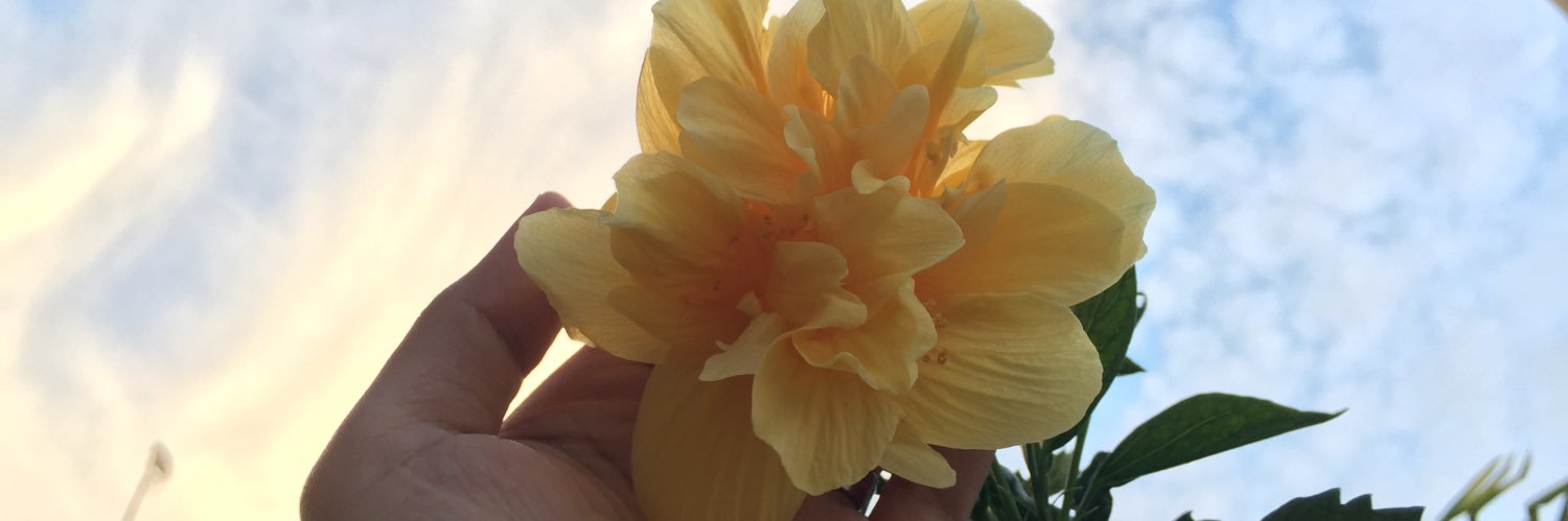 rethsela's profile banner image