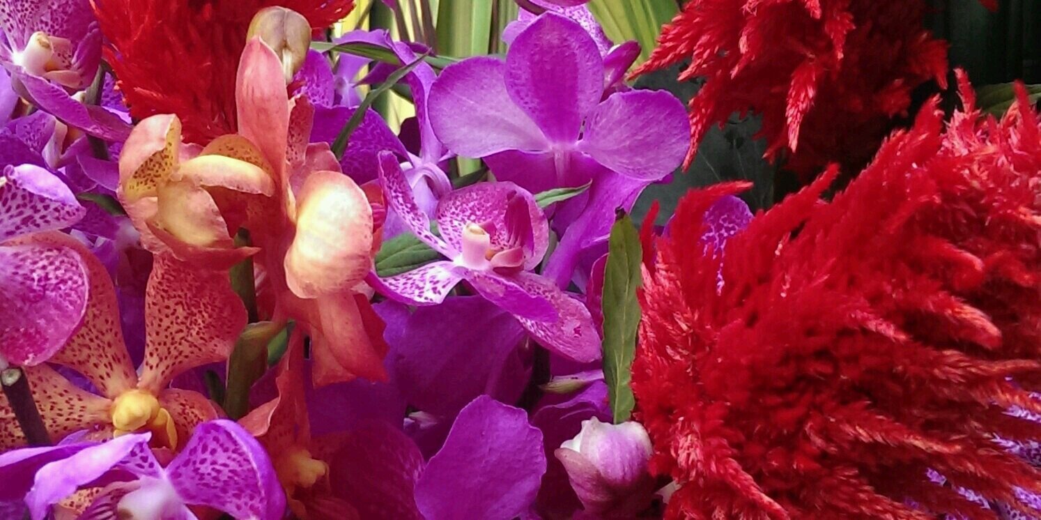 aditya_dewa's profile banner image