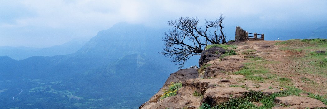 Shubhada23's profile banner image
