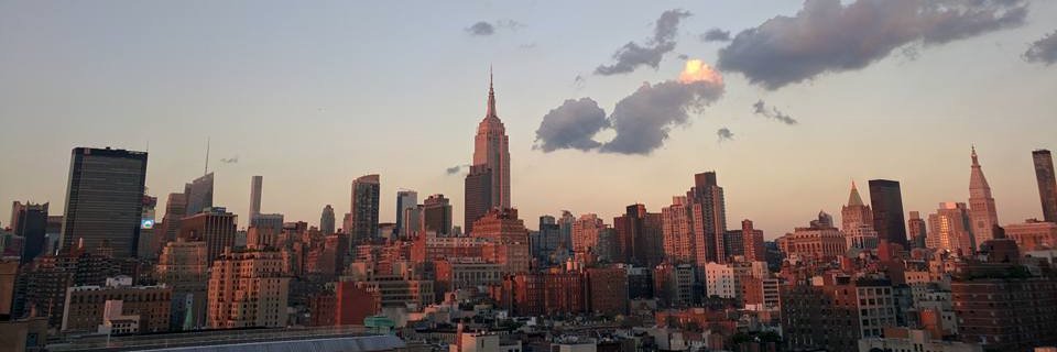 EliaFNigris's profile banner image