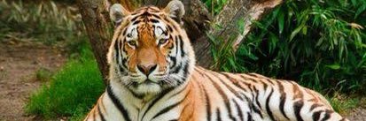 babuji_gr's profile banner image