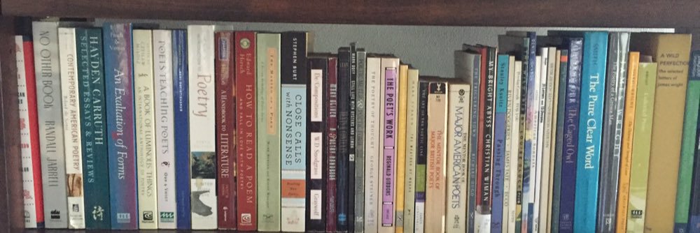 Sarah Pomeroy banner