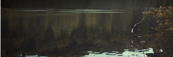 ottoat Profile Banner