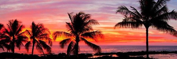 minzgiovi Profile Banner