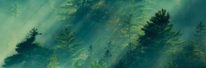 𝑪𝑬𝑳𝑬𝑩𝑹𝑬𝑵𝑰̈𝑺 banner