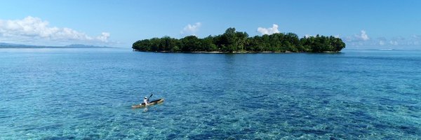 MicheleLBarnes Profile Banner