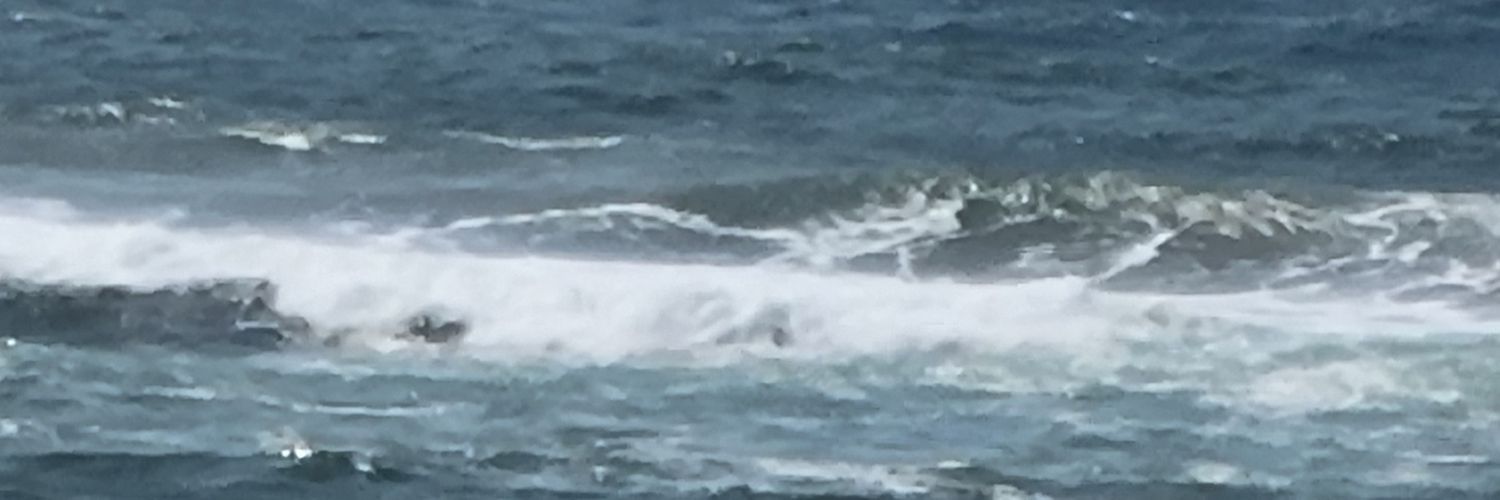 MatmbiliS's profile banner image