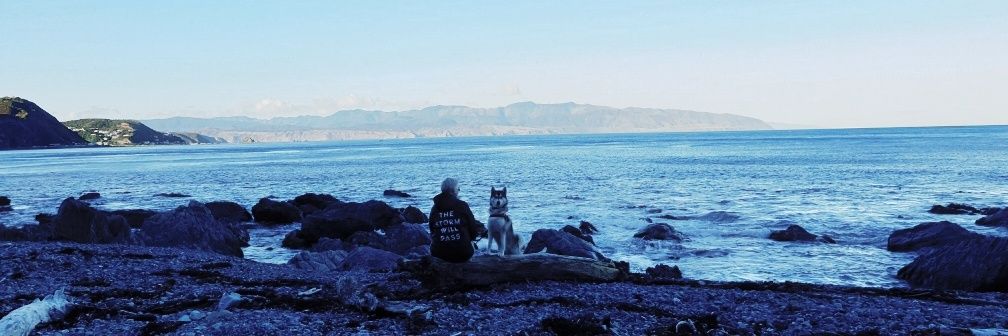 Rebecca Dyson banner