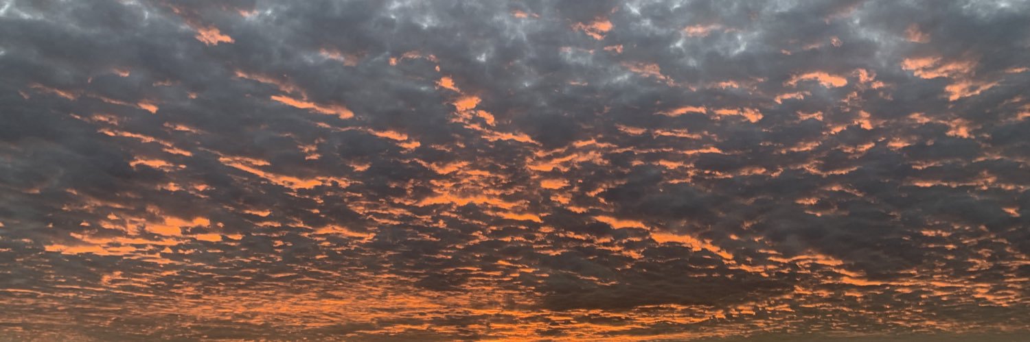 Chris Higgins banner