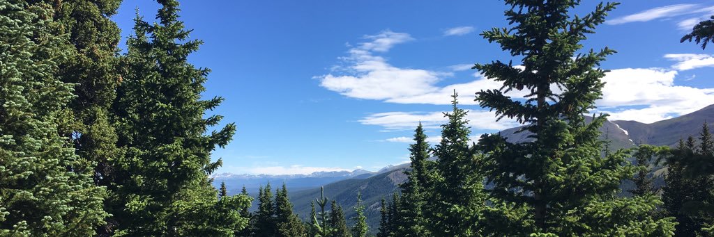 aschortcake's profile banner image