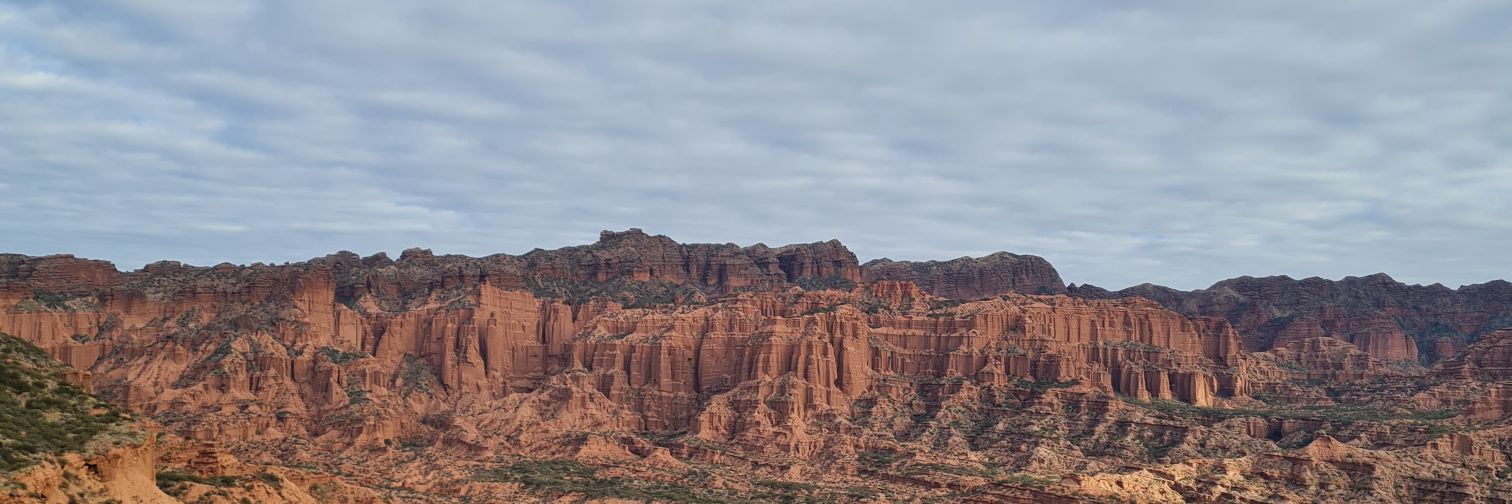 Norberto Itzcovich banner