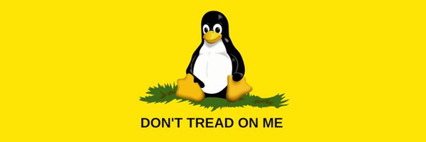 pingroot404 Profile Banner