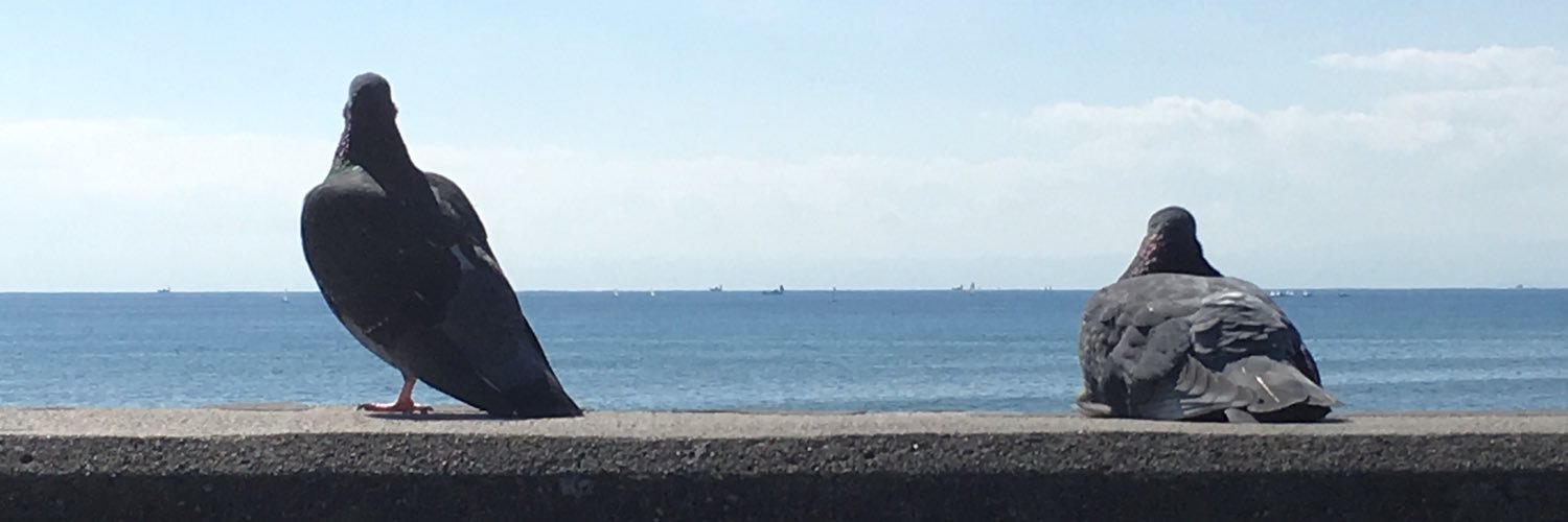 aaaim's profile banner image