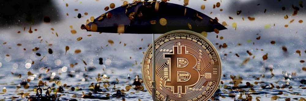 CryptoViral88's profile banner image