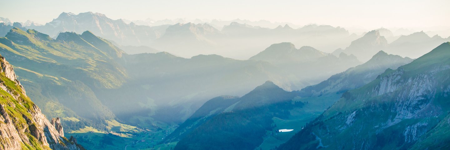 Photocyborg's profile banner image