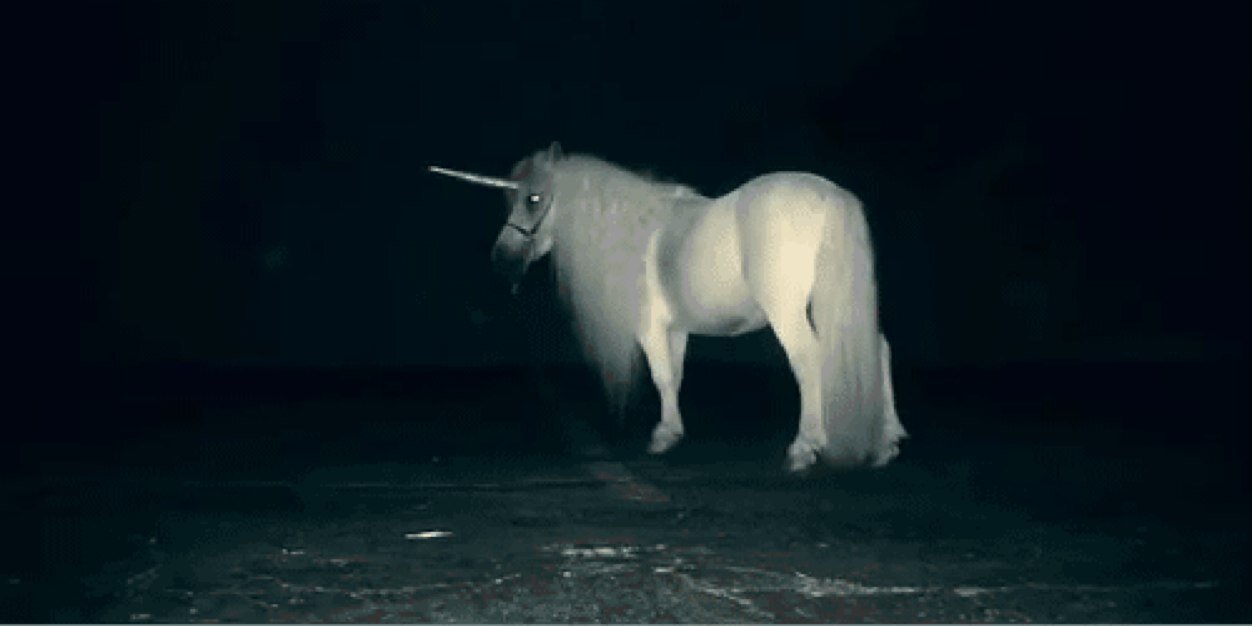 andreeweinard's profile banner image
