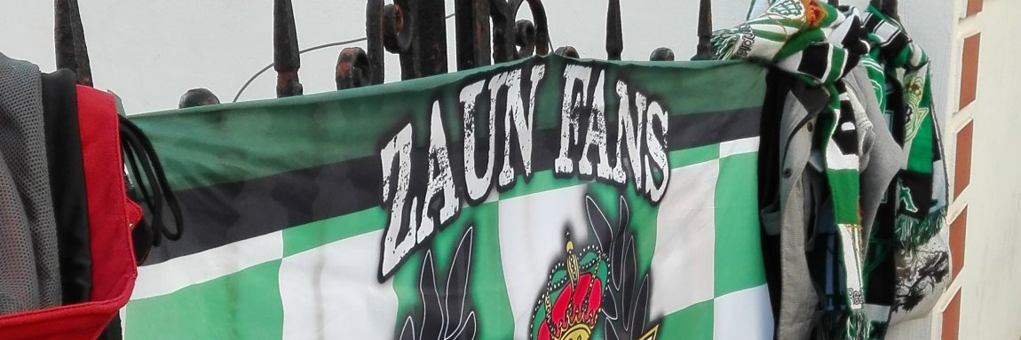 Zaun1907's profile banner image
