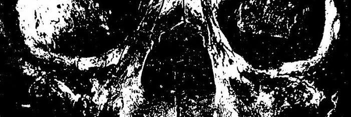 Luisplz_'s profile banner image
