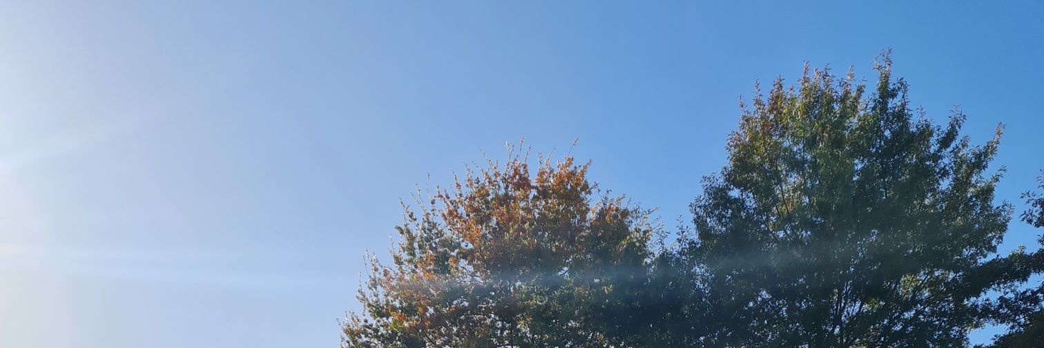 machisama's profile banner image