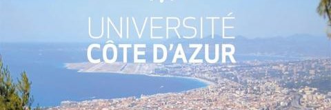 Diana Sebbar's banner
