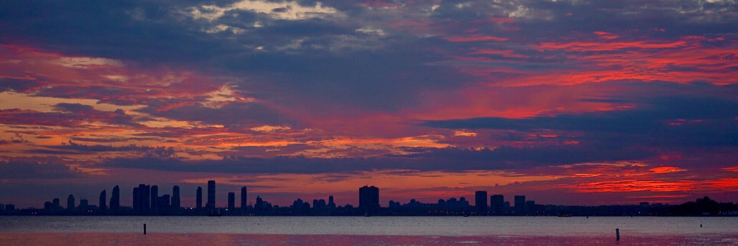 CatherineYZ's profile banner image